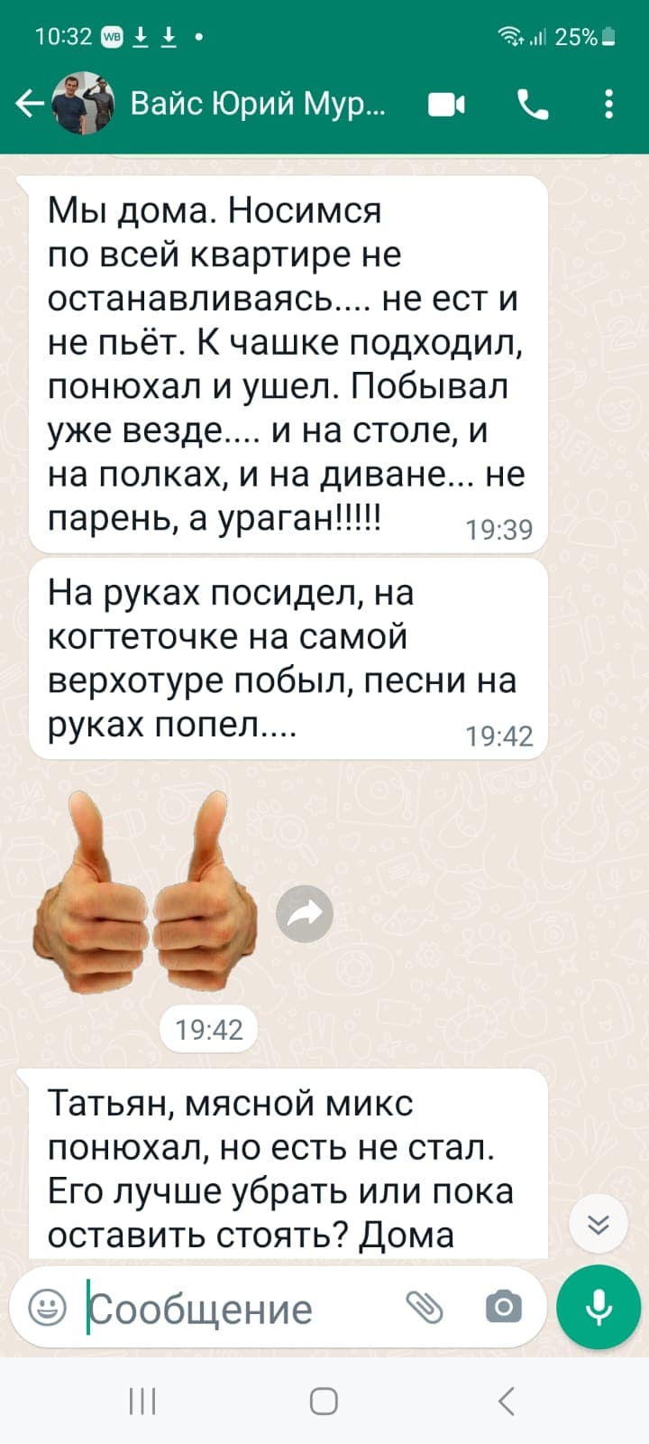 Отзывы о наших котятах